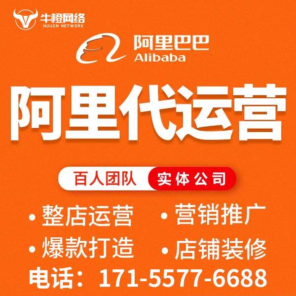 新乡电商代运营