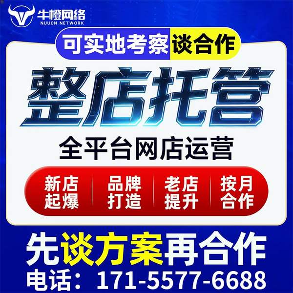 新乡电商代运营
