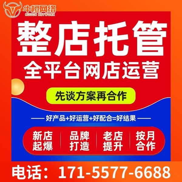 新乡电商代运营