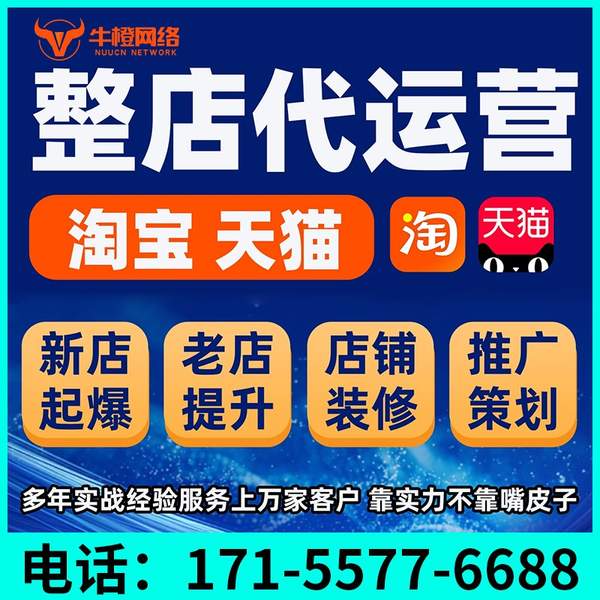新乡电商代运营