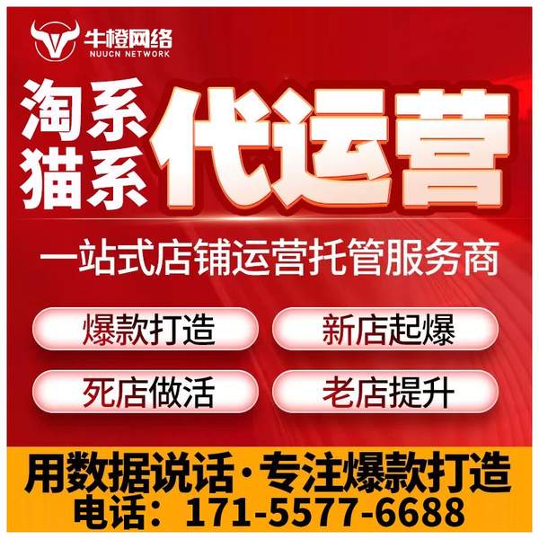 新乡电商代运营